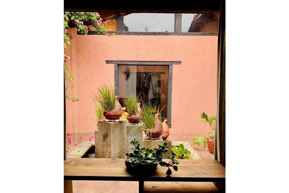 Photo of Others in De Guadalupe