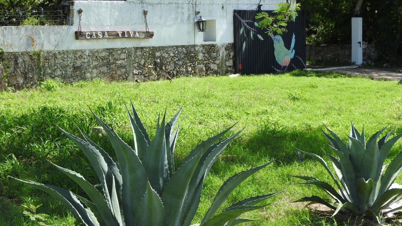 Photo of Outdoor in Tixpehual