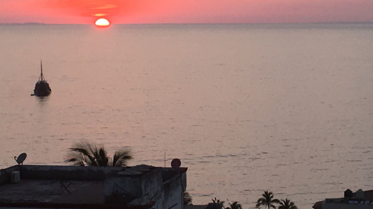 Photo of Others in Downtown Puerto Vallarta