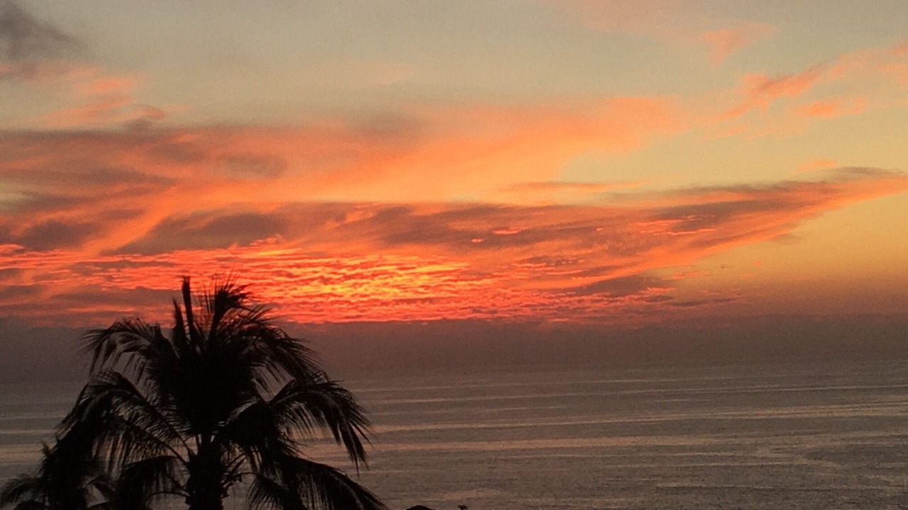 Photo of Others in Downtown Puerto Vallarta