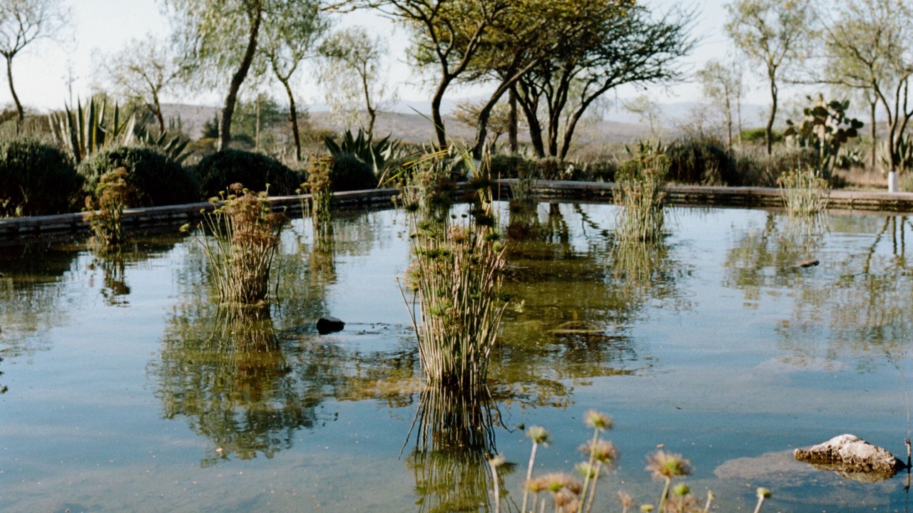 Photo of Others in Pozos