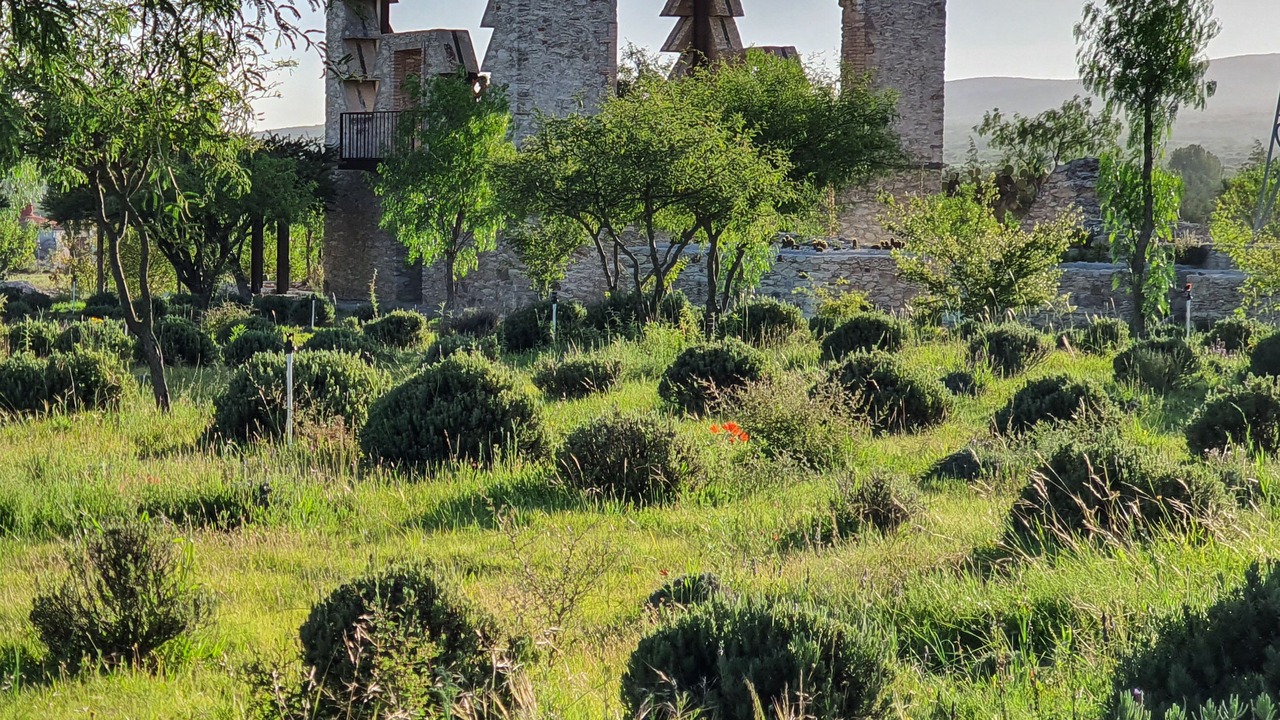 Photo of Outdoor in Pozos