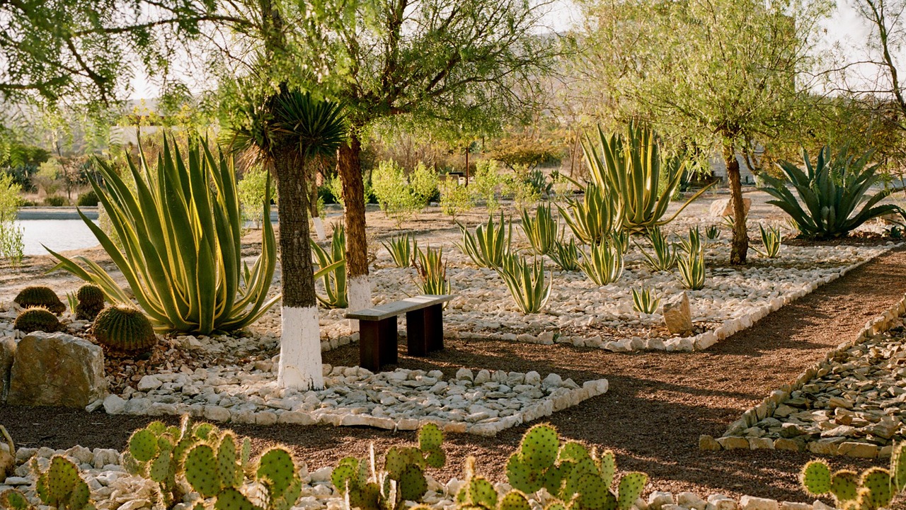 Photo of Patio Balcony in Pozos