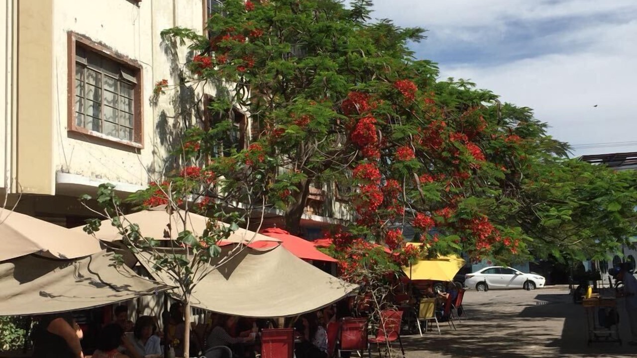 Photo of Outdoor in Americana