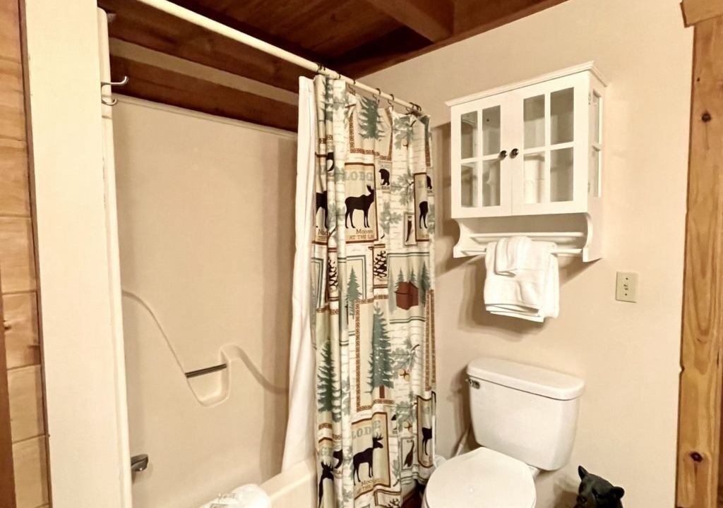 Photo of Bathroom in Tellico Plains