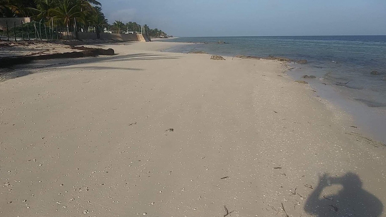 Photo of Others in San Crisanto