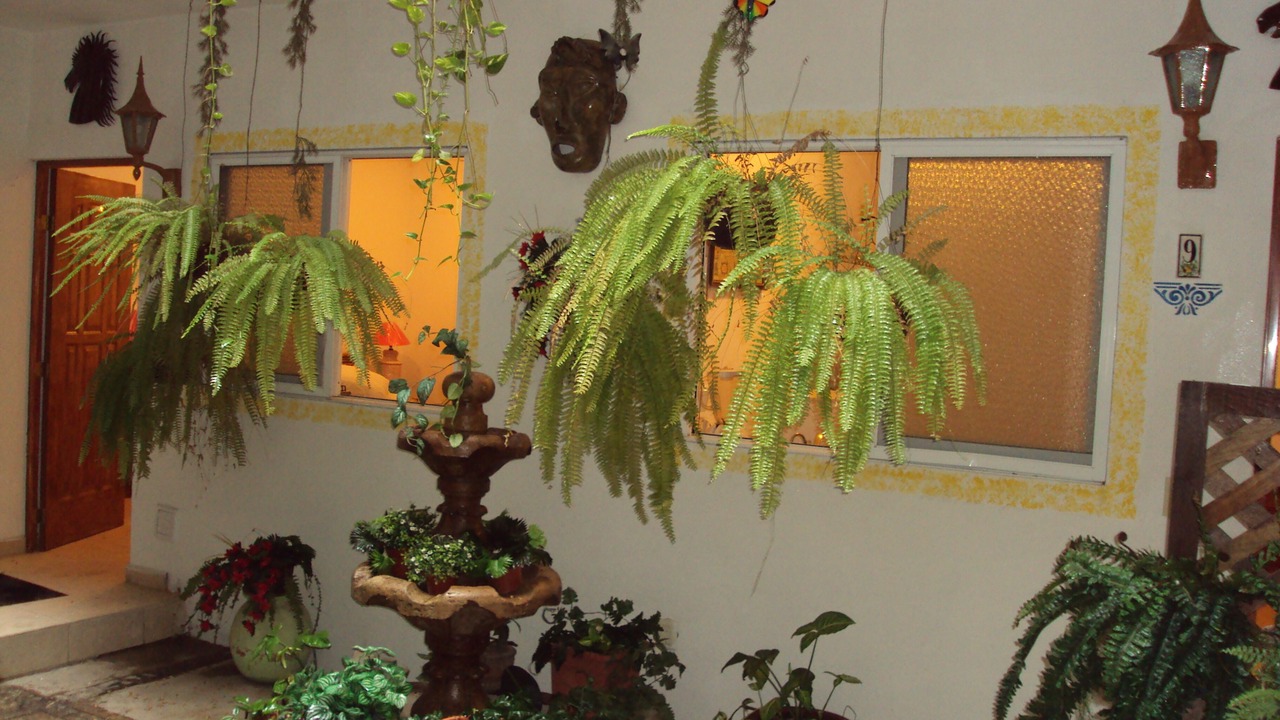 Photo of Patio Balcony in Emiliano Zapata