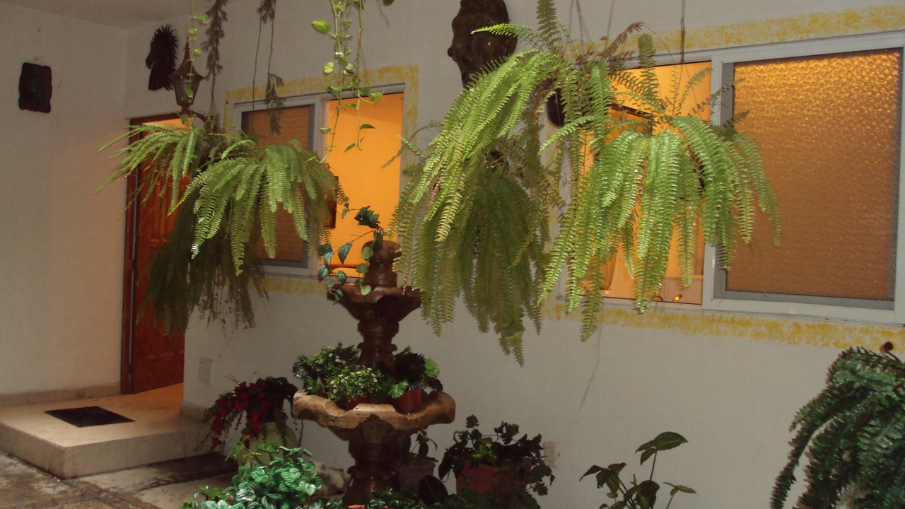 Photo of Patio Balcony in Emiliano Zapata