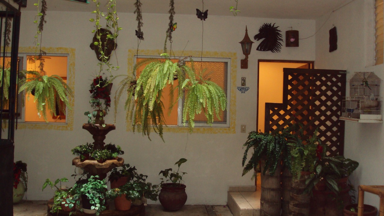Photo of Patio Balcony in Emiliano Zapata