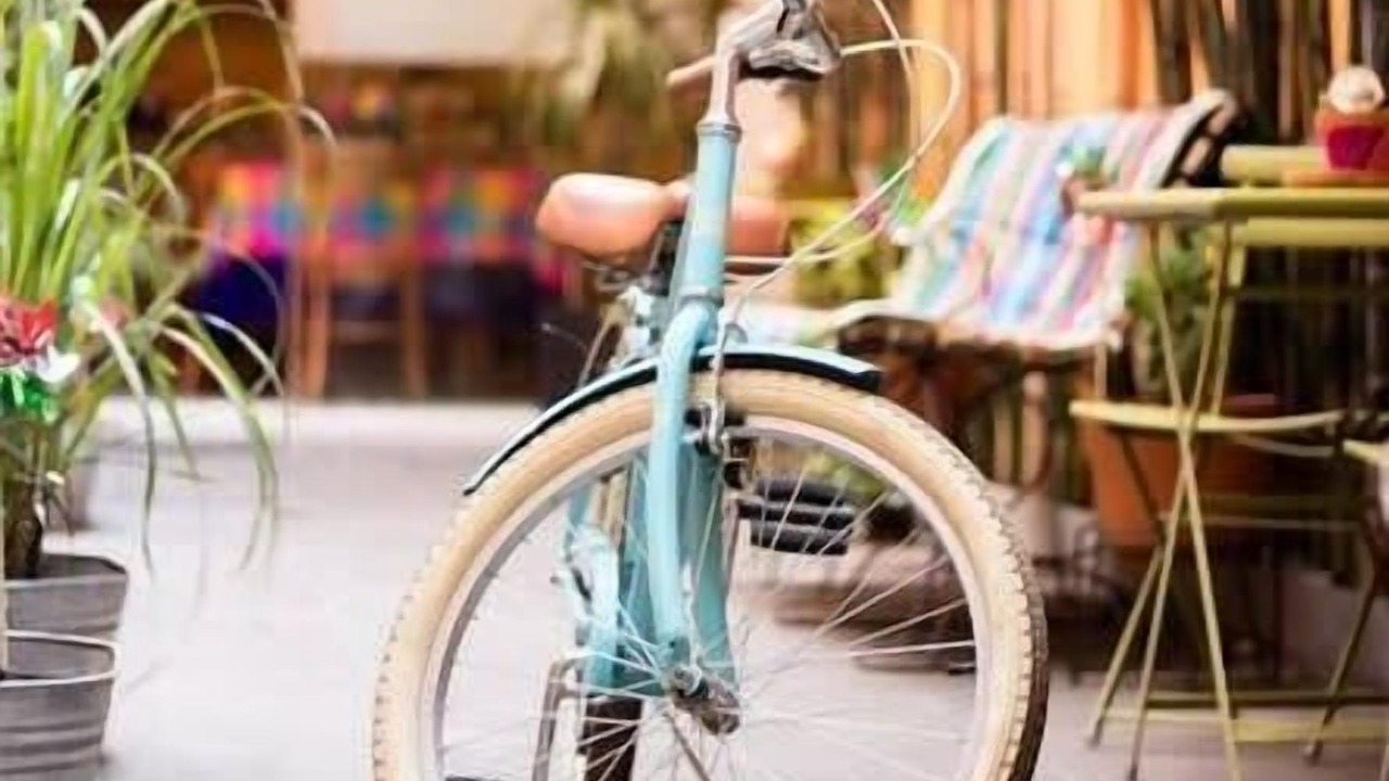 Photo of Outdoor in La Condesa