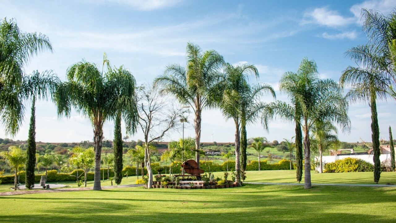 Photo of Outdoor in Zapotlanejo