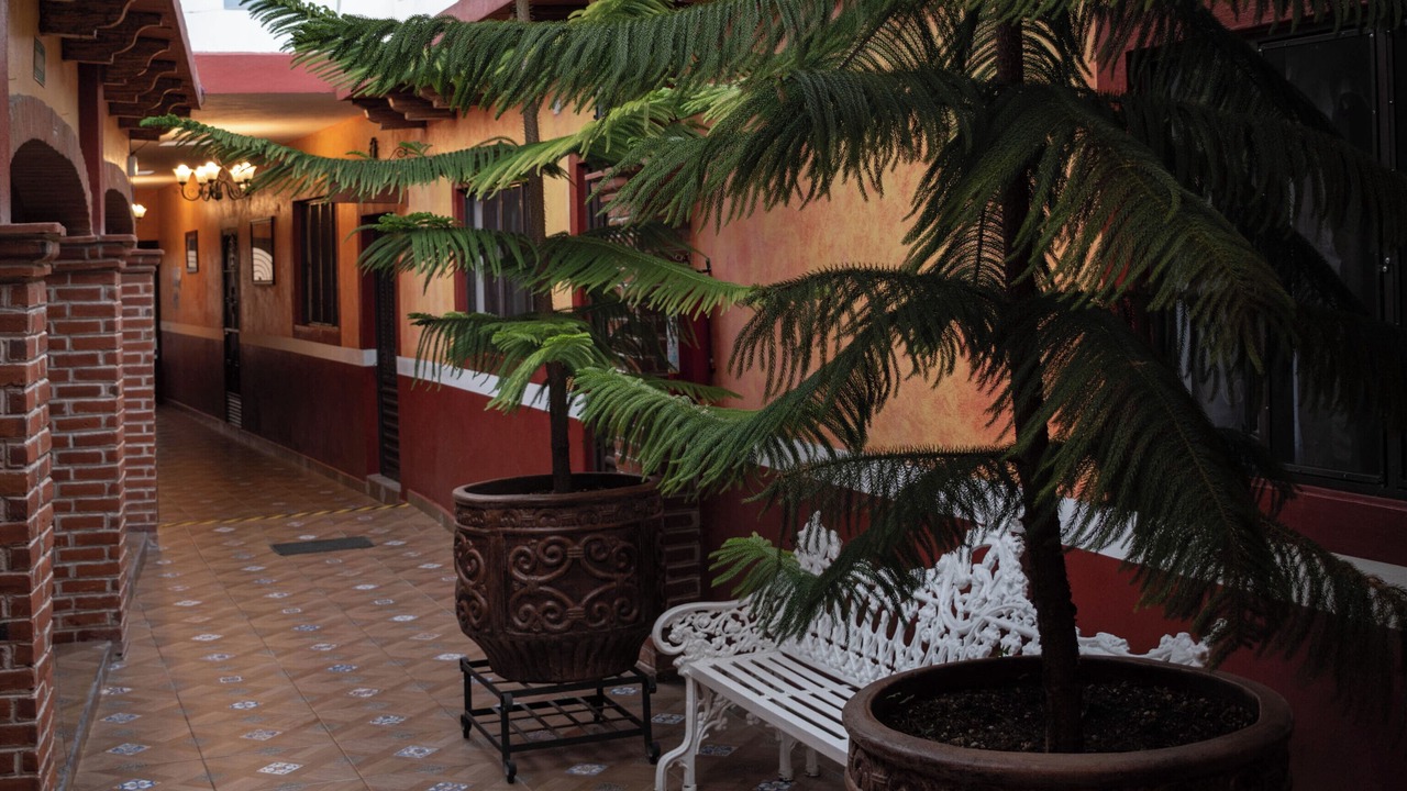 Photo of Patio Balcony in Centro