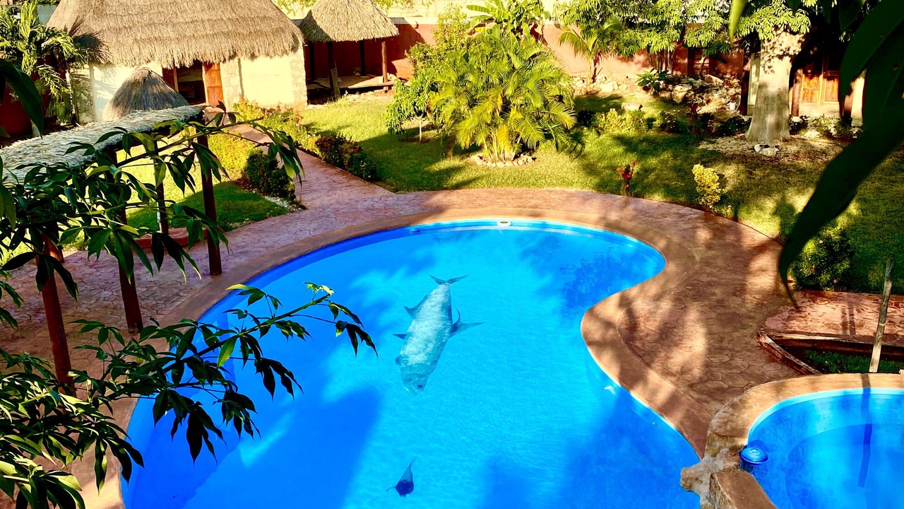 Photo of Outdoor in Tenabo