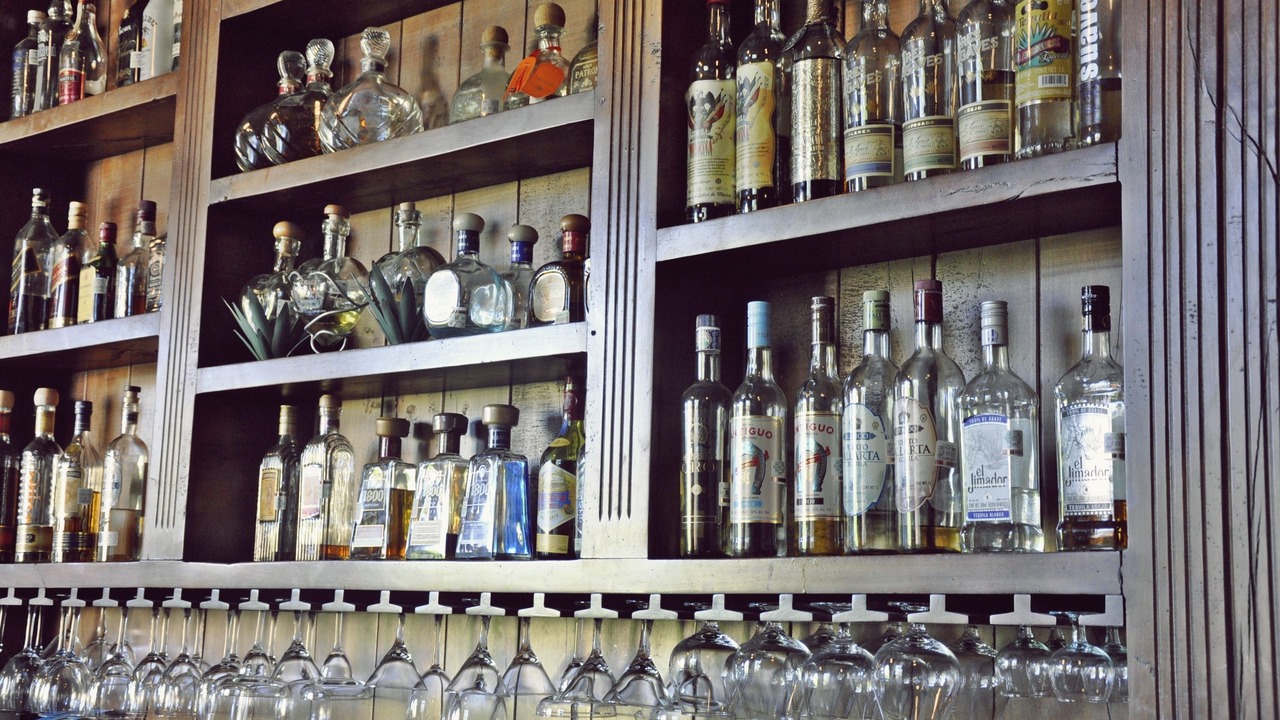 Photo of Others in Tequila