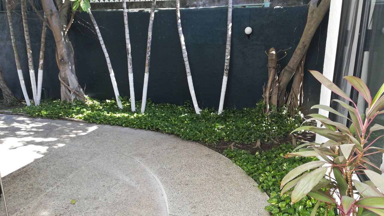 Photo of Outdoor in Granjas del Marques