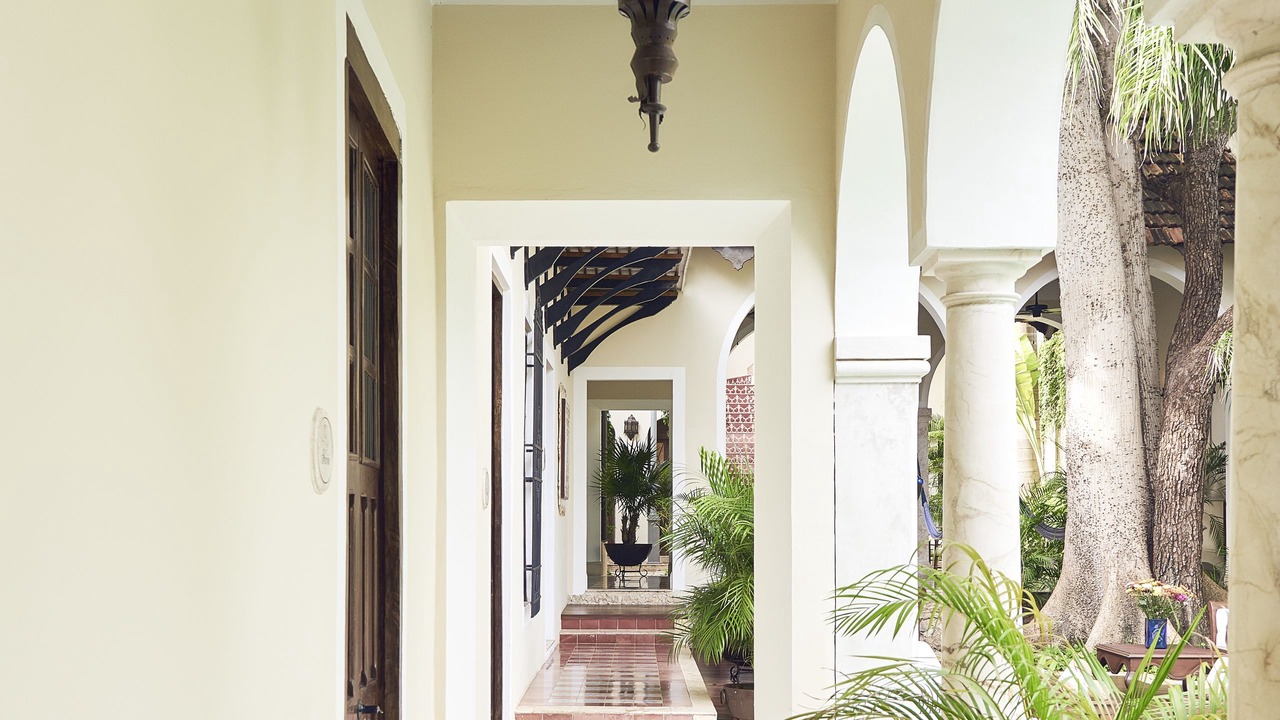 Photo of Outdoor in Zona Paseo Montejo
