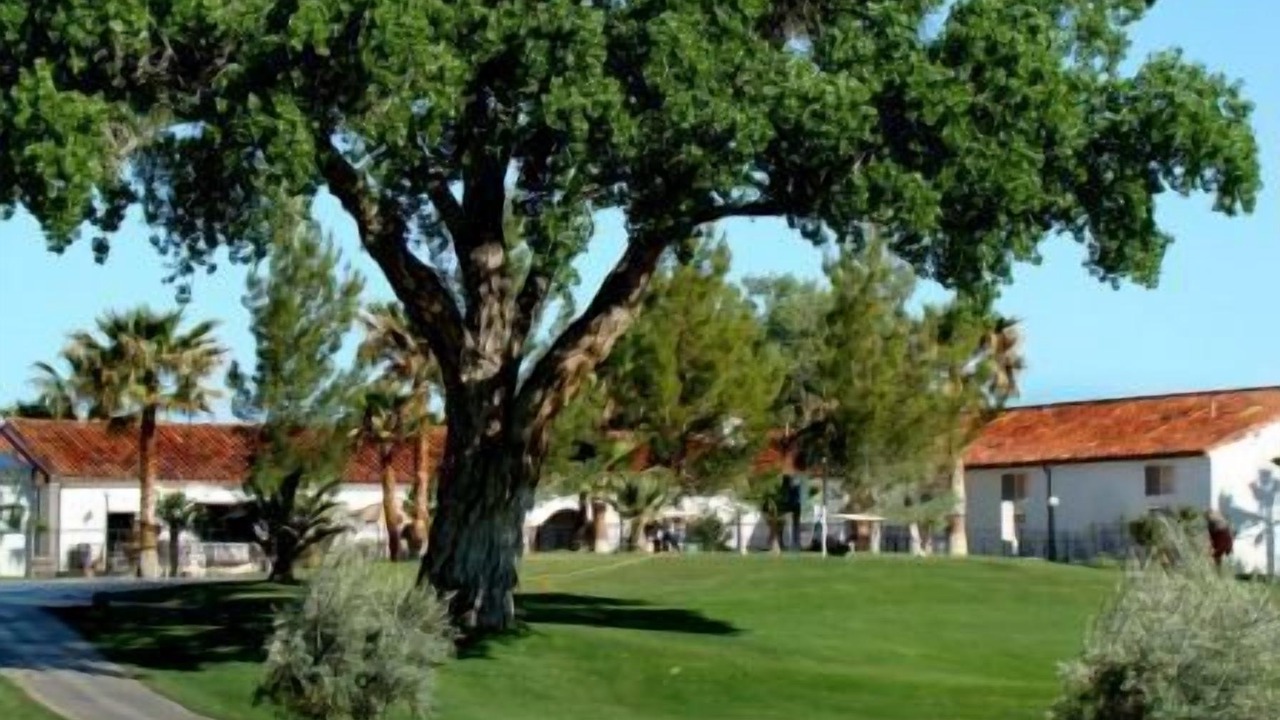 Photo of Outdoor in Beaver Dam