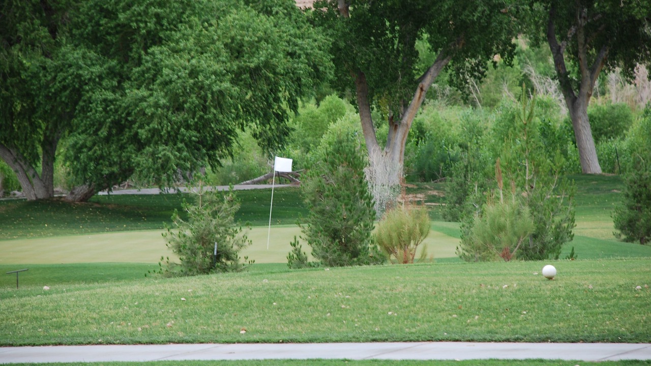 Photo of Others in Beaver Dam