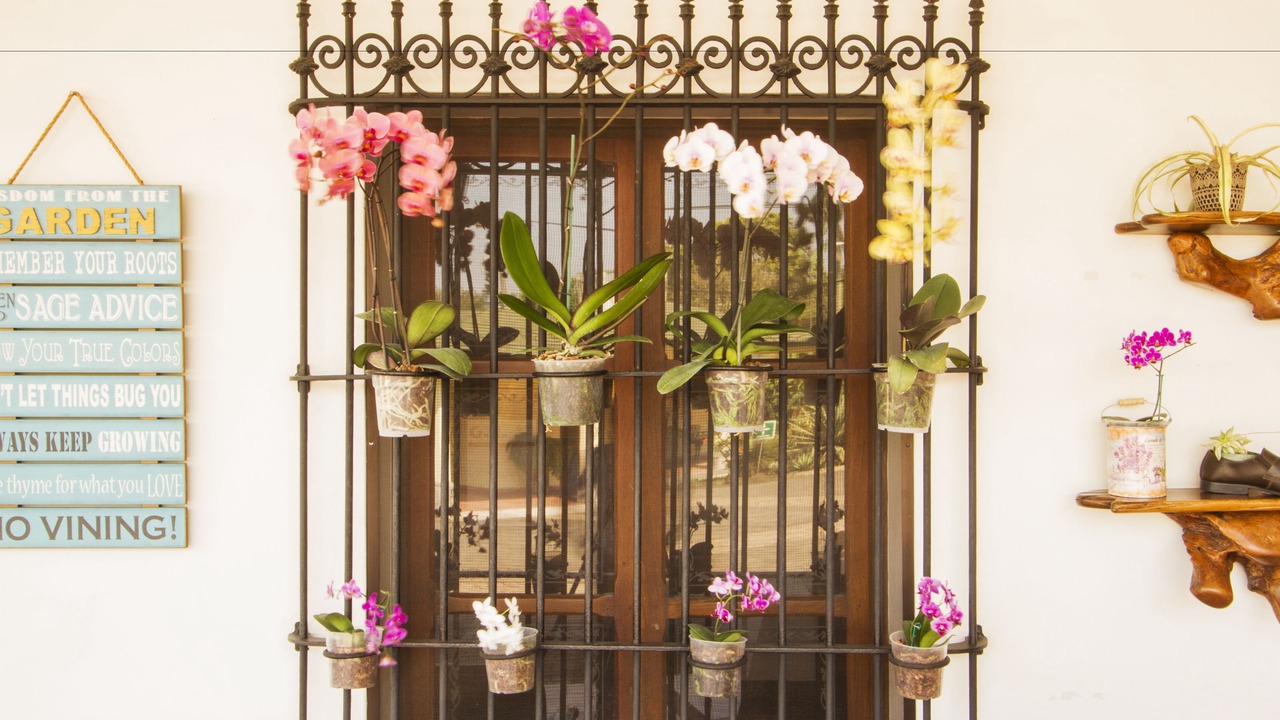 Photo of Outdoor in Fortin de las Flores