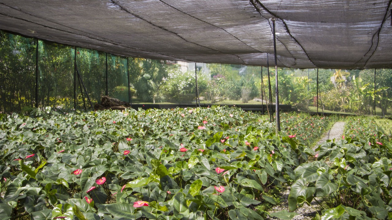 Photo of Outdoor in Fortin de las Flores