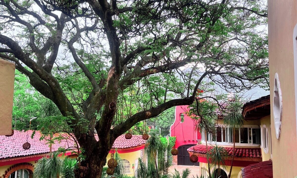 Photo of Others in Chantepec