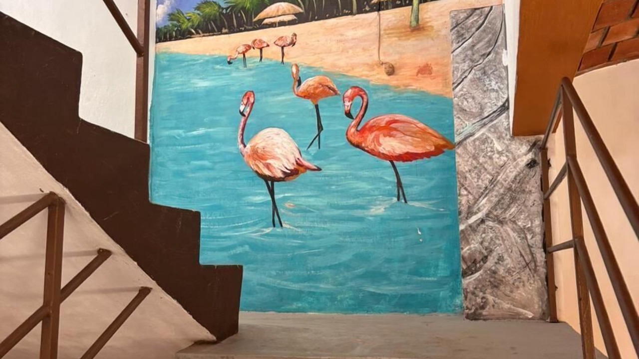 Photo of Outdoor in Rincon de Guayabitos