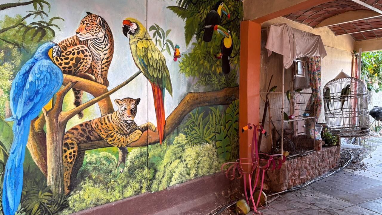 Photo of Outdoor in Rincon de Guayabitos