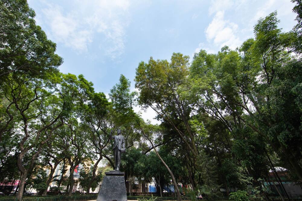 Photo of Others in Anahuac