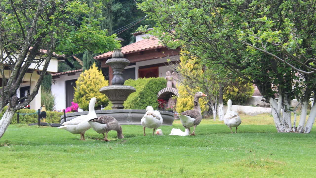 Photo of Outdoor in El Oro