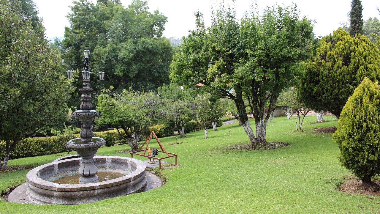Photo of Outdoor in El Oro