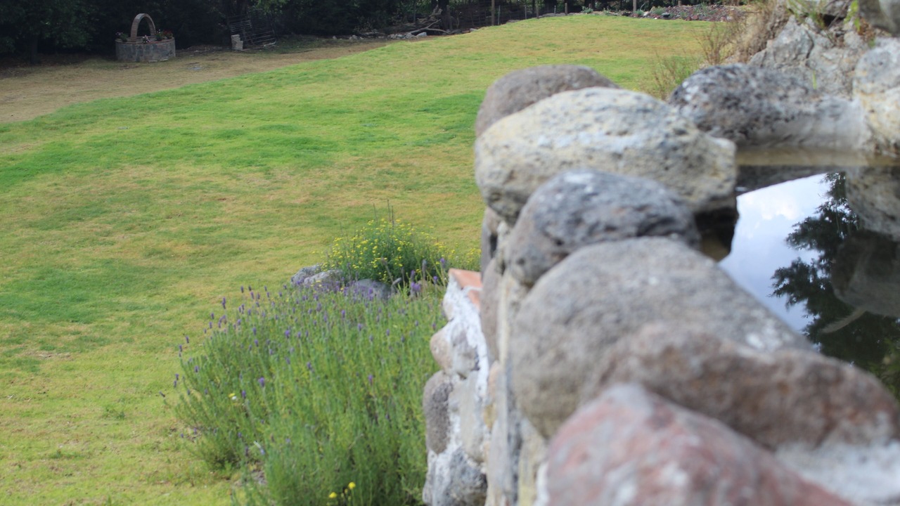 Photo of Outdoor in El Oro