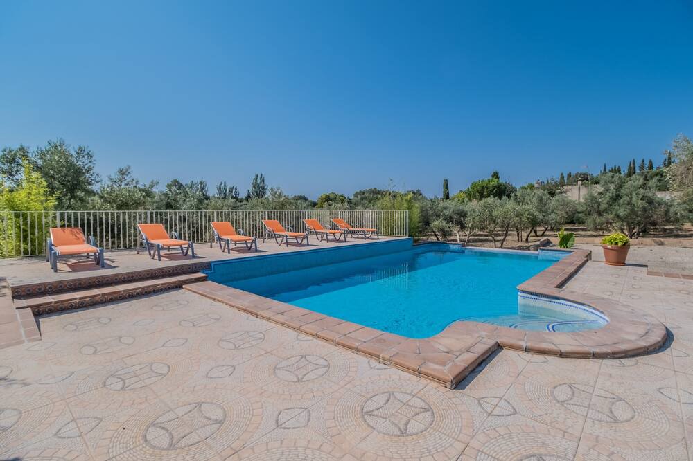 Photo of Outdoor in Selva
