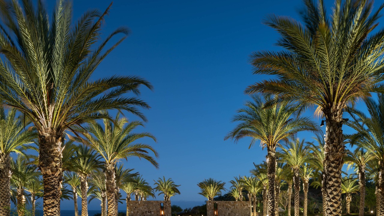 Photo of Outdoor in San Jose del Cabo