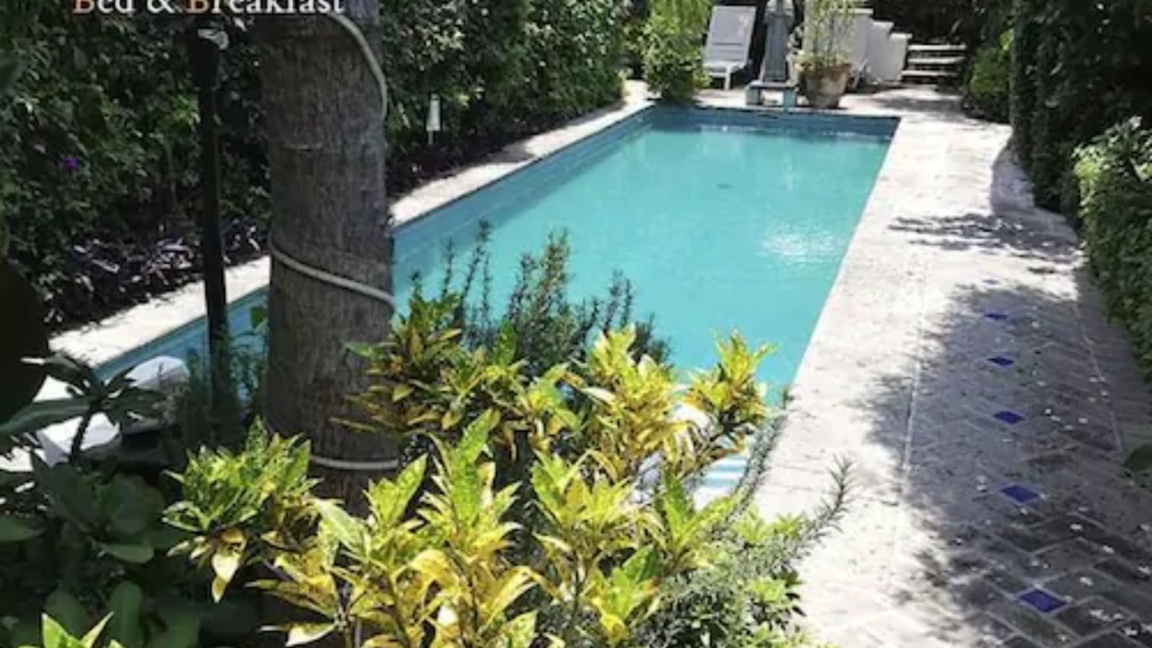 Photo of Outdoor in Ajijic