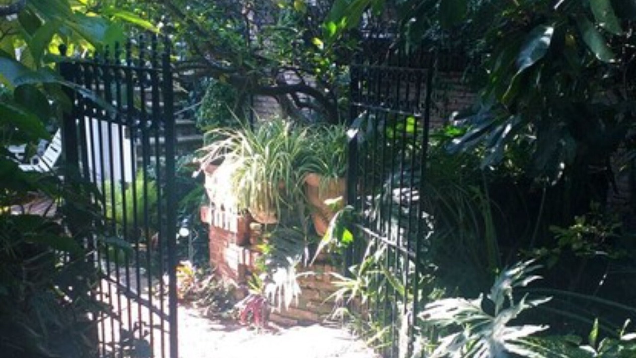 Photo of Outdoor in Ajijic