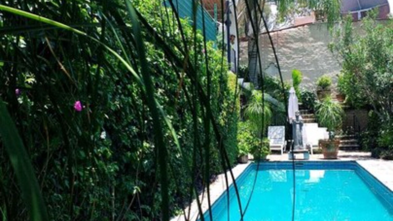 Photo of Outdoor in Ajijic