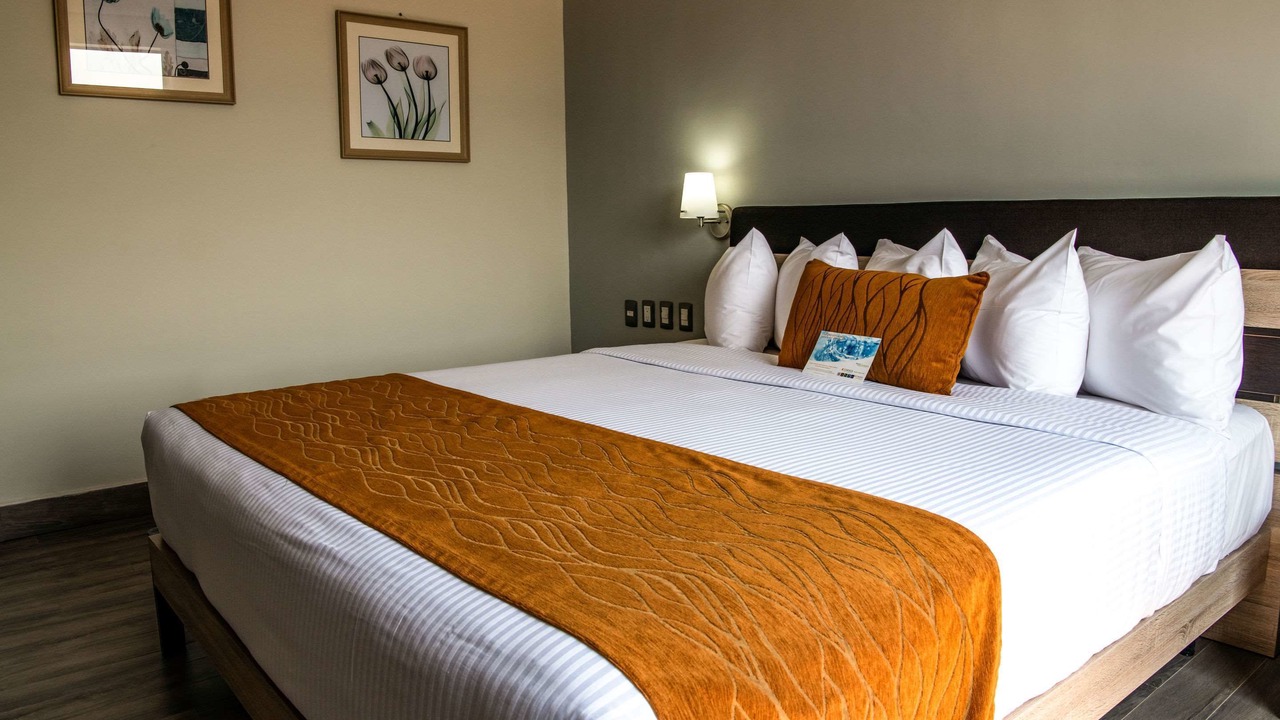 Photo of Bedroom in Irapuato