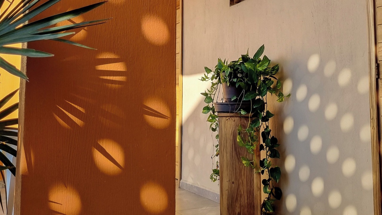 Photo of Outdoor in Rincon de Guayabitos