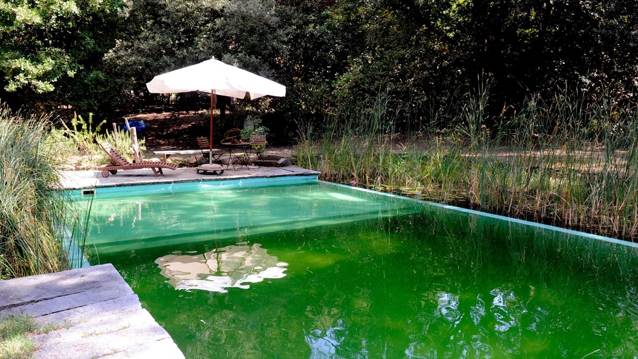 Photo of Outdoor in Scandicci