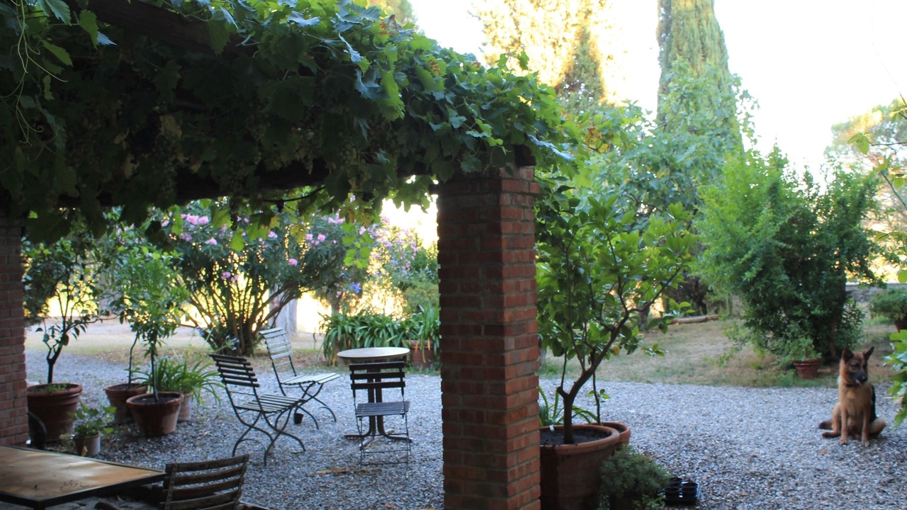 Photo of Patio Balcony in Scandicci