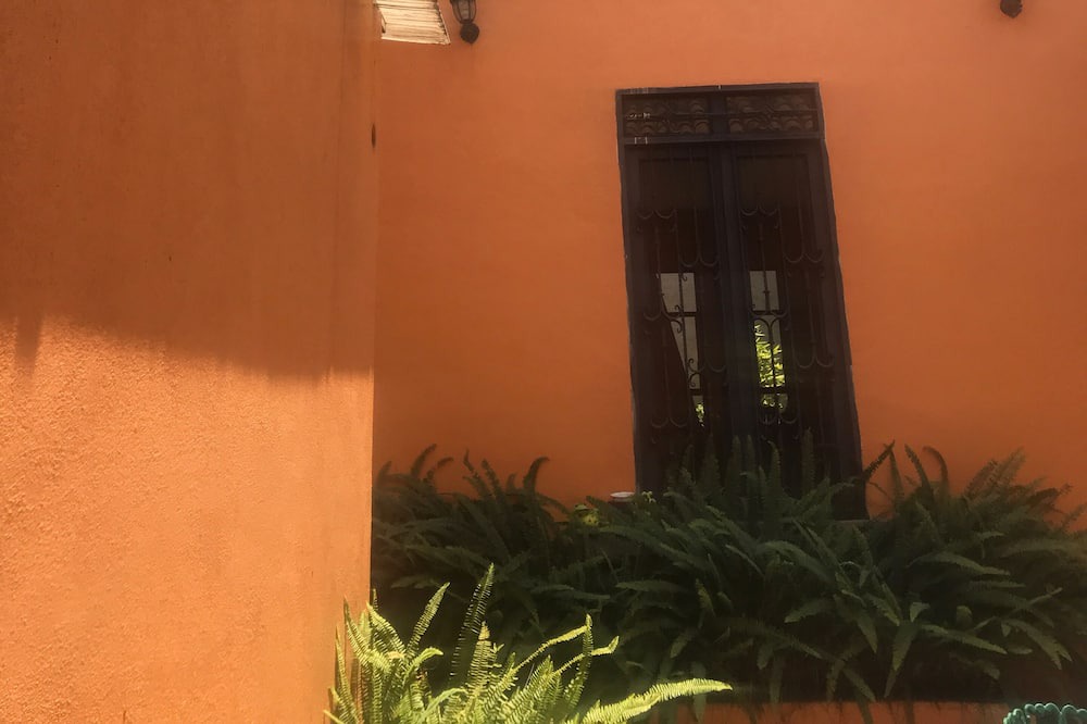 Photo of Outdoor in Patzcuaro