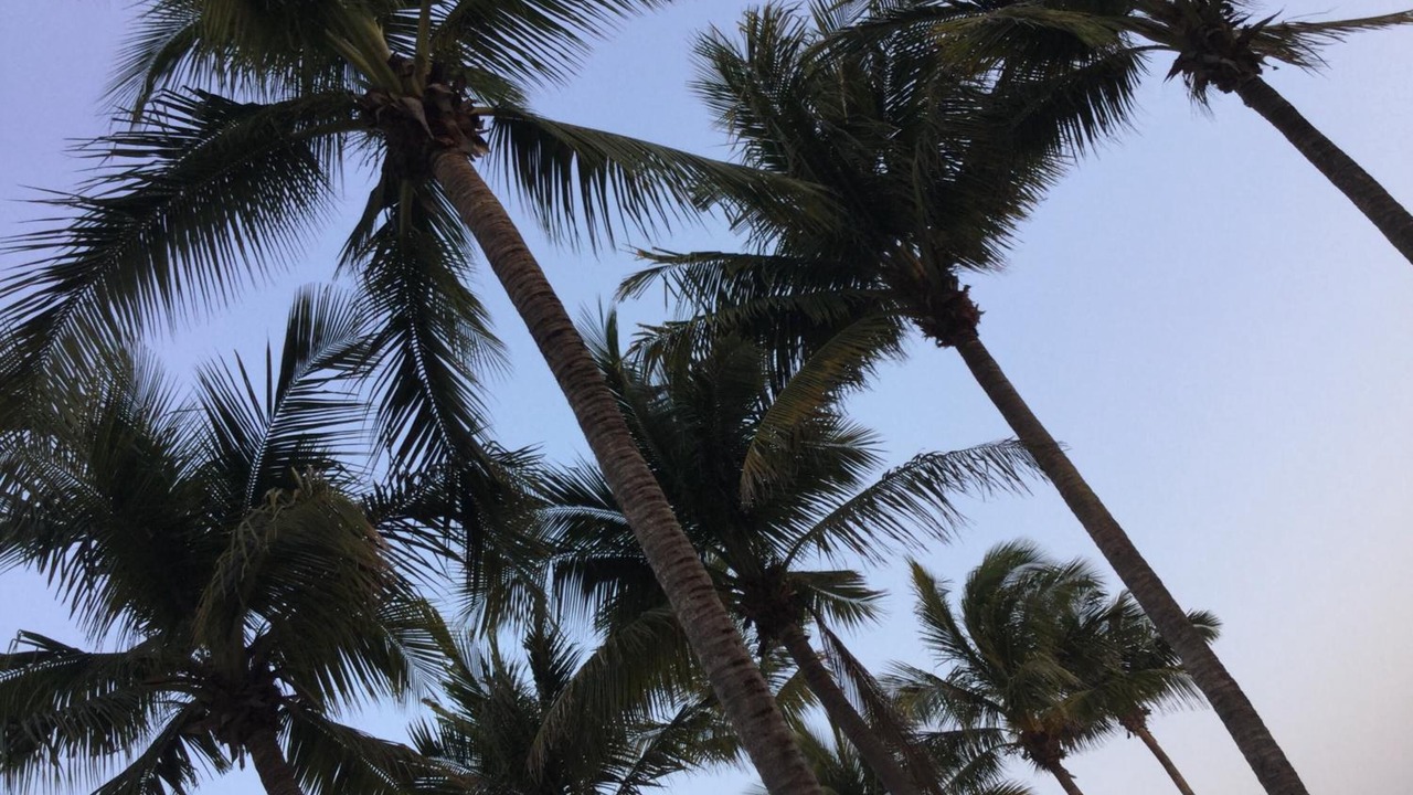 Photo of Others in Puerto Arista