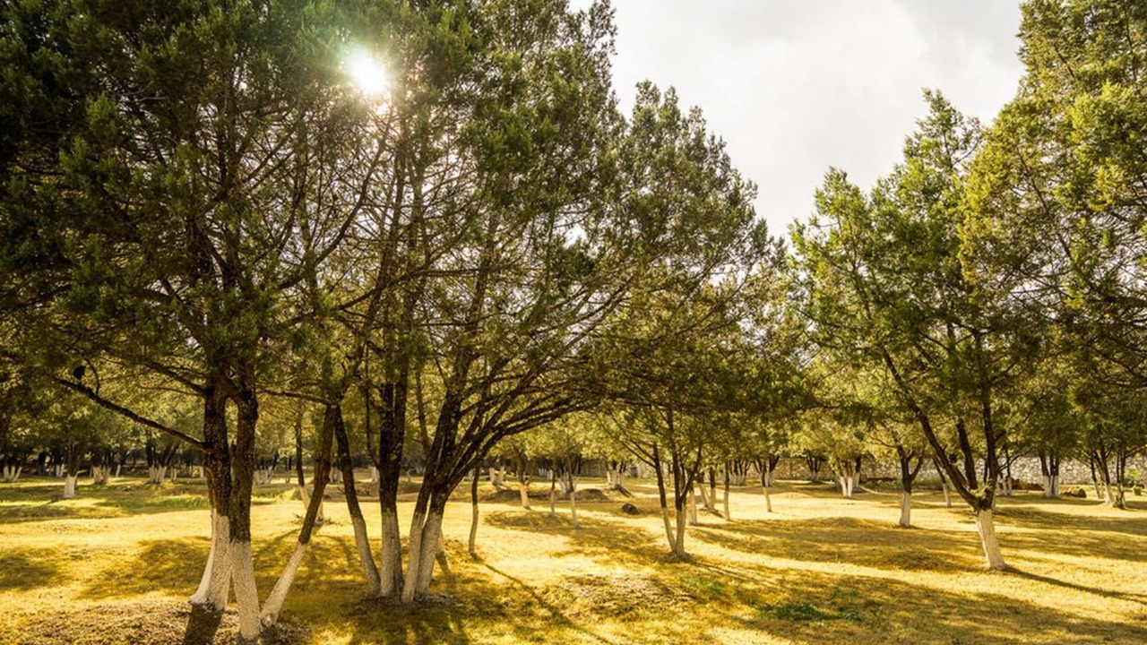 Photo of Outdoor in Huasca De Ocampo