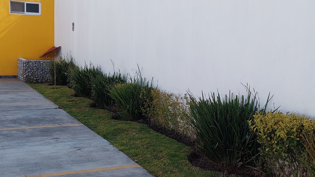 Photo of Outdoor in Pachuca