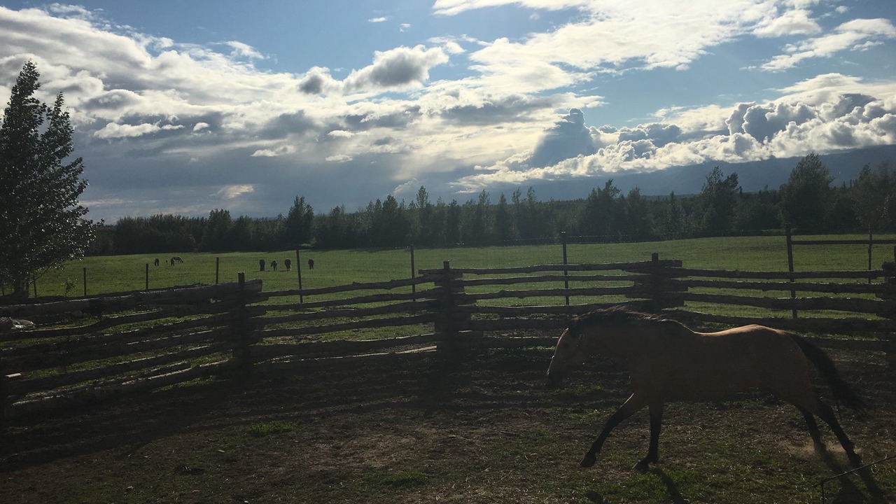 Photo of Outdoor in Lazy Mountain