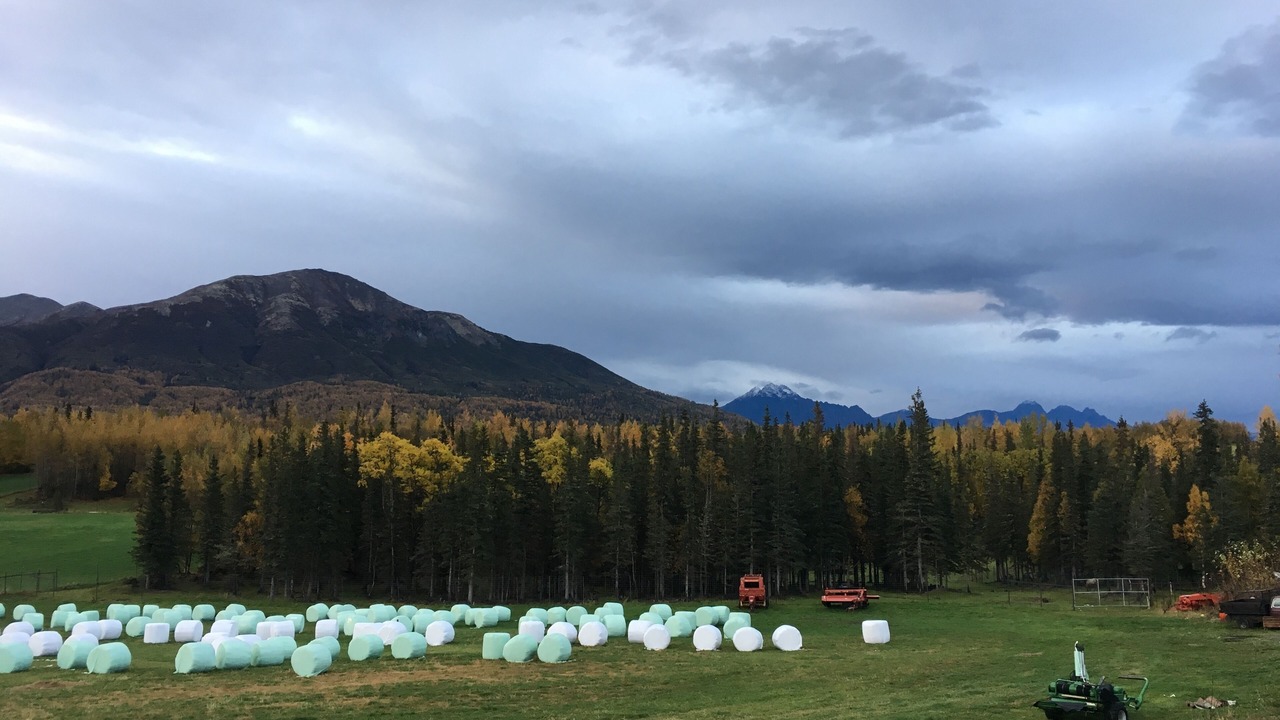 Photo of Outdoor in Lazy Mountain