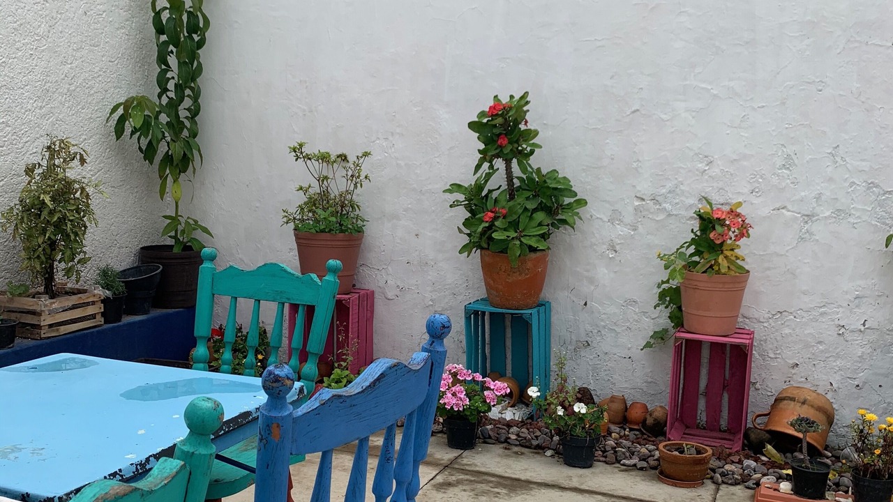 Photo of Outdoor in Guadalajara