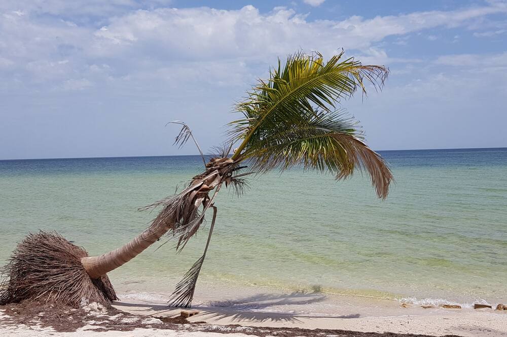Photo of Others in San Crisanto