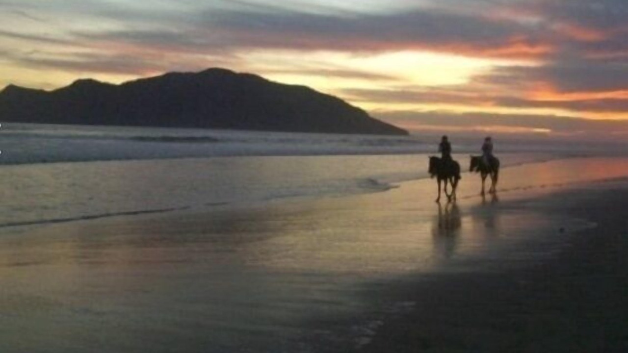 Photo of Outdoor in Las Gaviotas