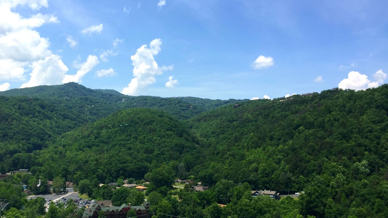 Photo of Others in Gatlinburg
